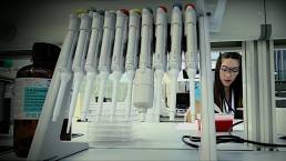 Andalucía Innova microespacio televisivo Canal Sur