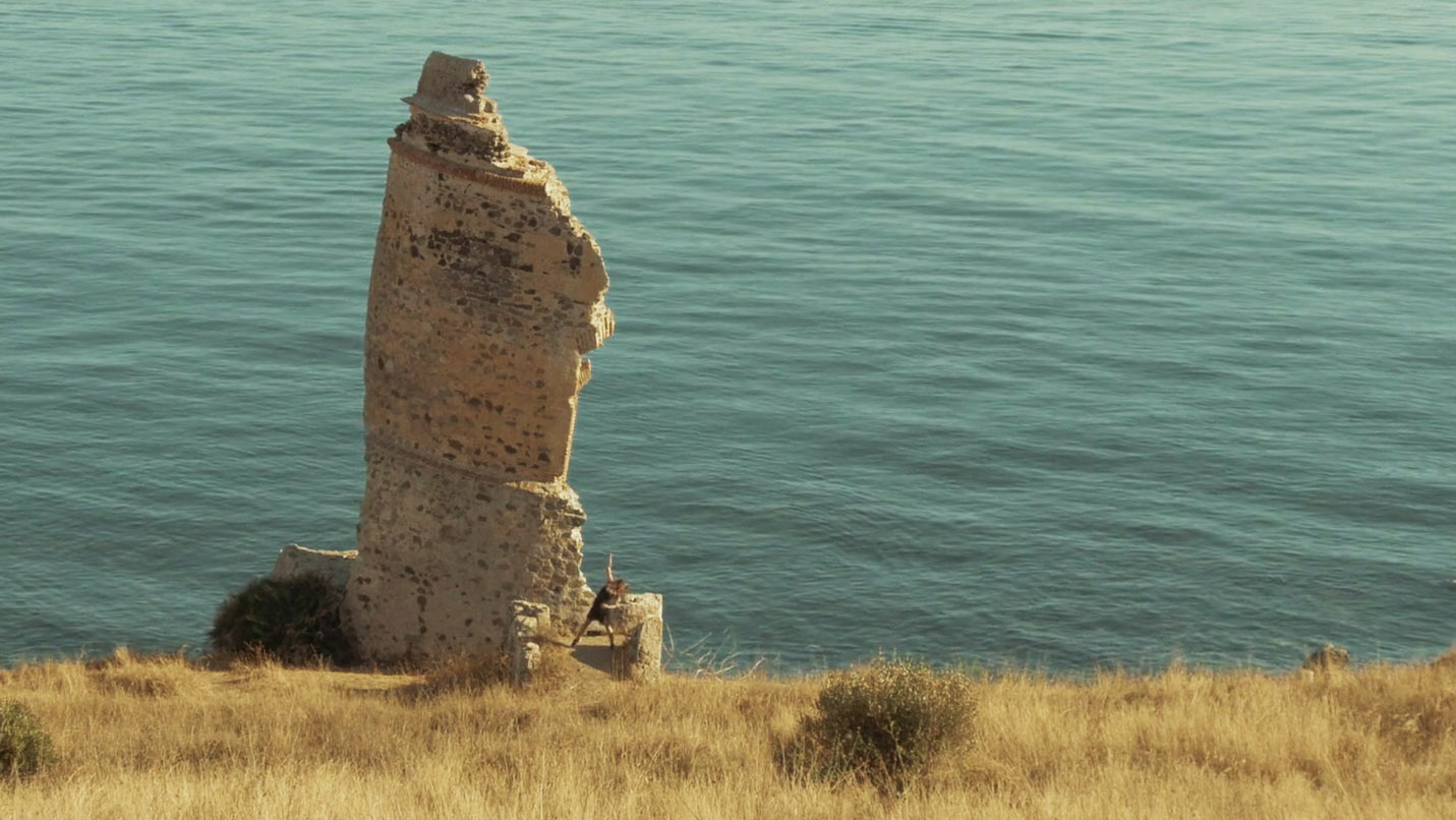 Leo Daniel Lozano Vídeo Musical