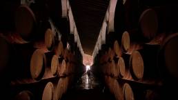 Tierra de Vinos es un Documental sobre los vinos y el sector vitivinícola en Andalucía.